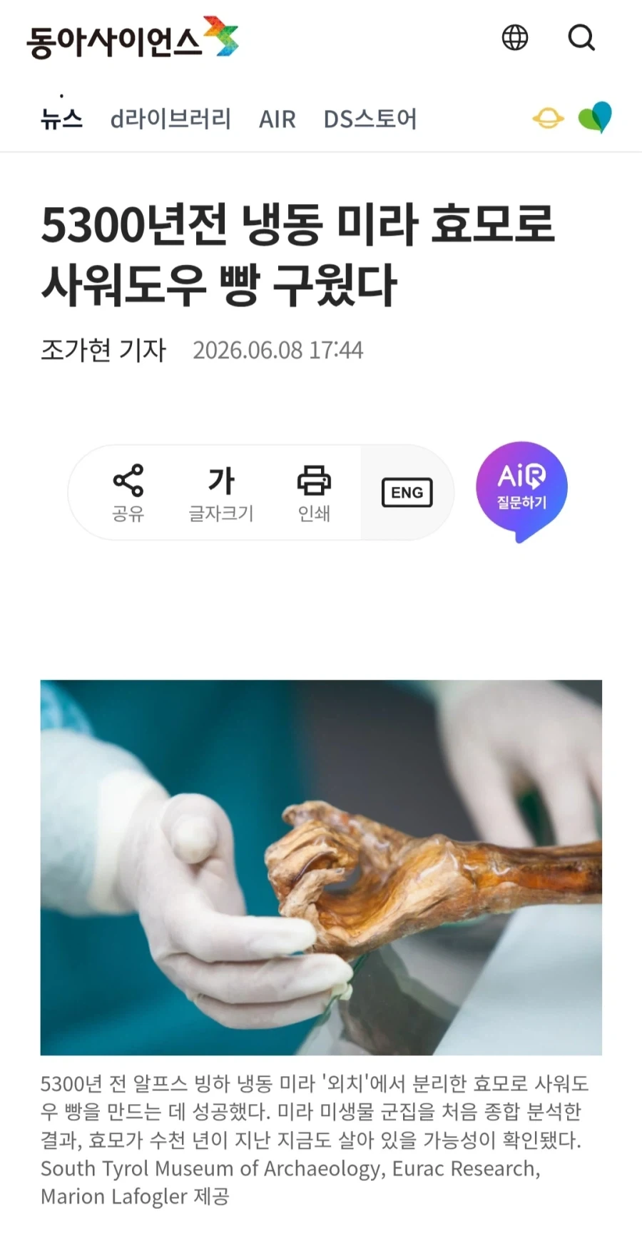 5300년전 냉동 미라 효모로 만든 빵 성공_1.webp