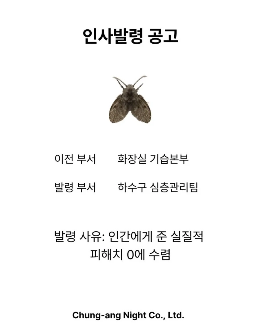 여름 인사발령_2.webp