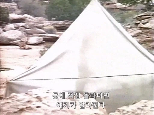 전설이 되버린 맥가이버 칼의 첫 등장_2.webp