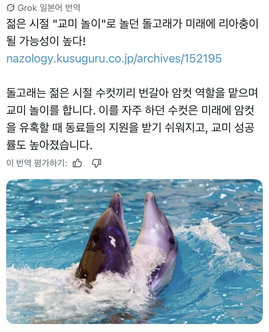 돌고래도 즐기는 교미놀이_1.webp