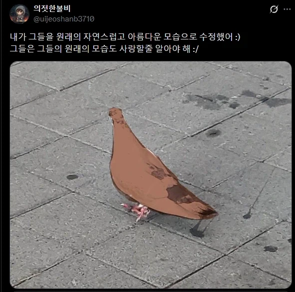 백인이 되고 싶어하는 비둘기들.twit_4.webp