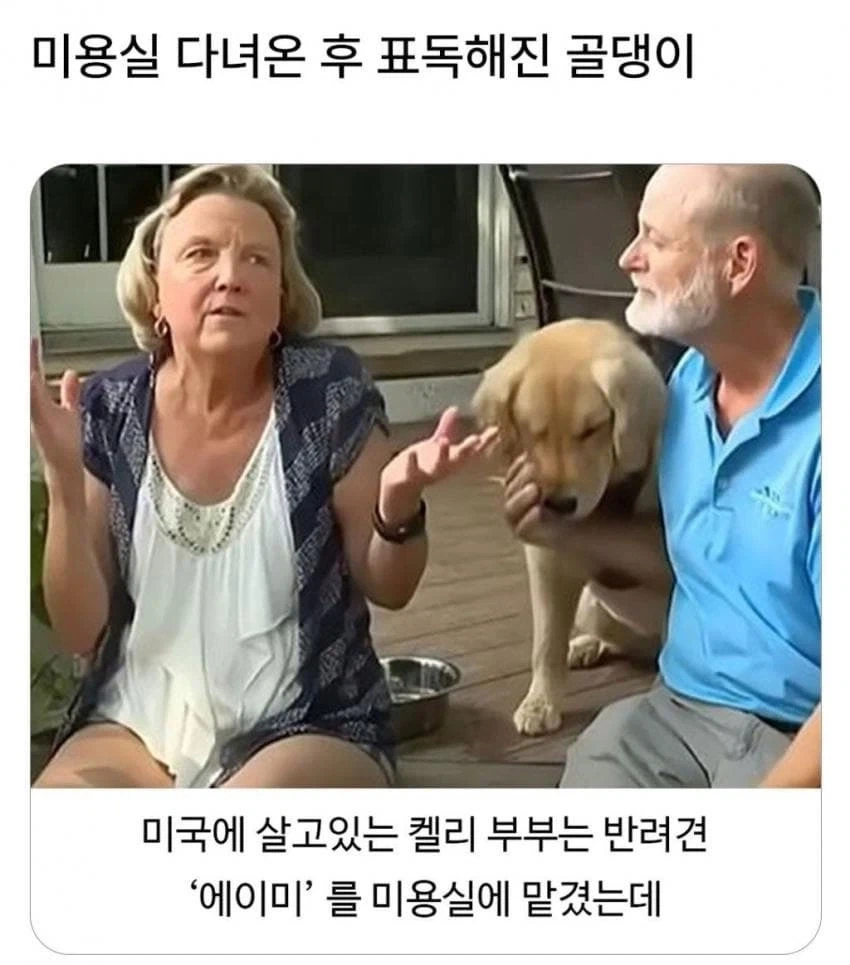 미용실 다녀온 후 표독해진 골댕이_1.webp