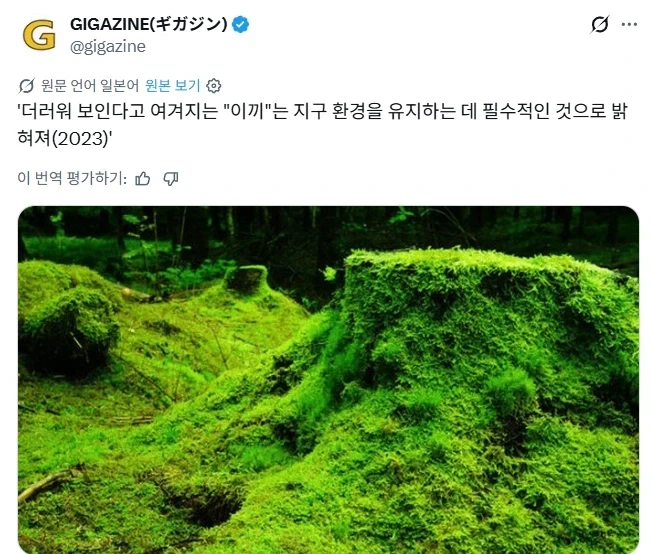 야생 이끼의 위험성.jpg_1.webp