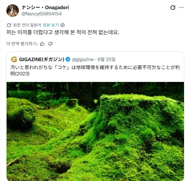 야생 이끼의 위험성.jpg_2.webp