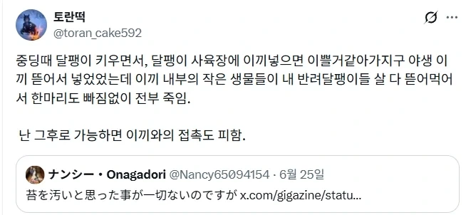 야생 이끼의 위험성.jpg_3.webp