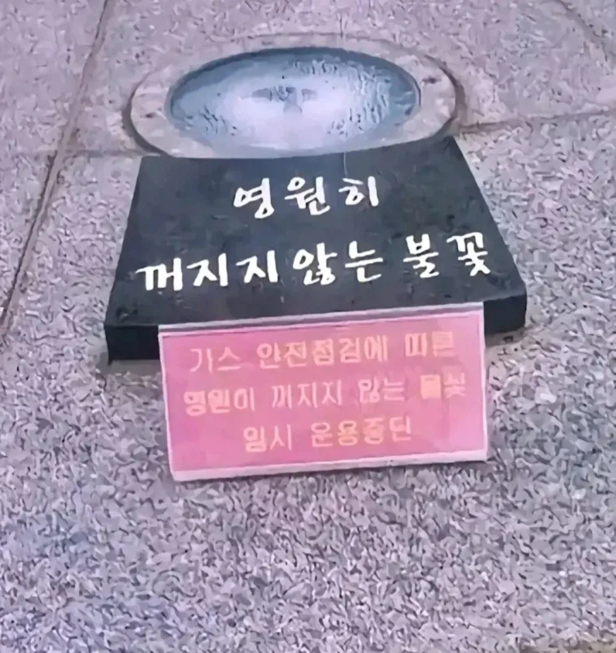 흔한 애니 클리셰_1.webp