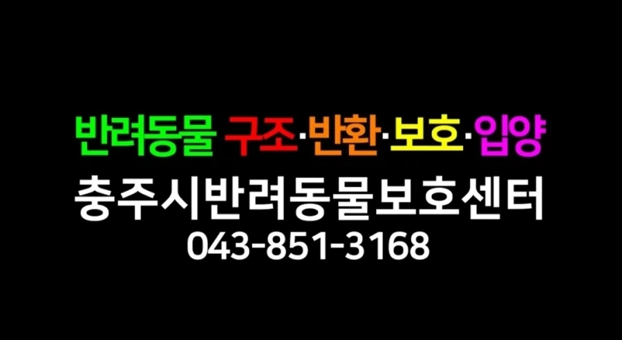 3년전 충주맨.jpg_4.webp