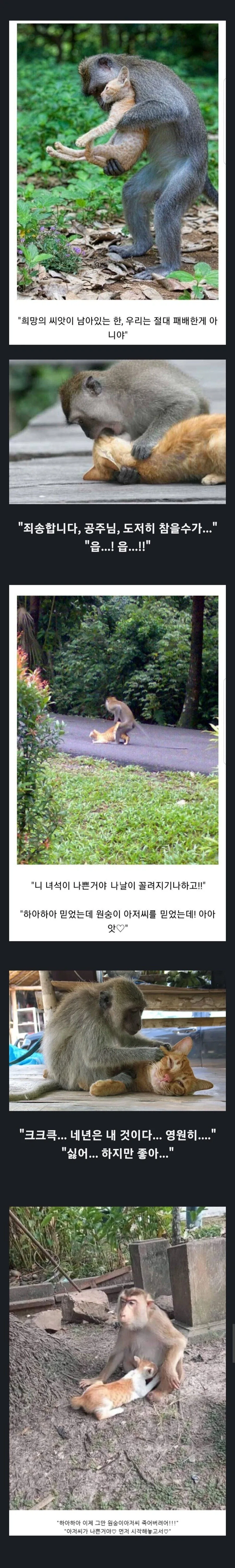 오타쿠가 약한 클리셰_1.webp