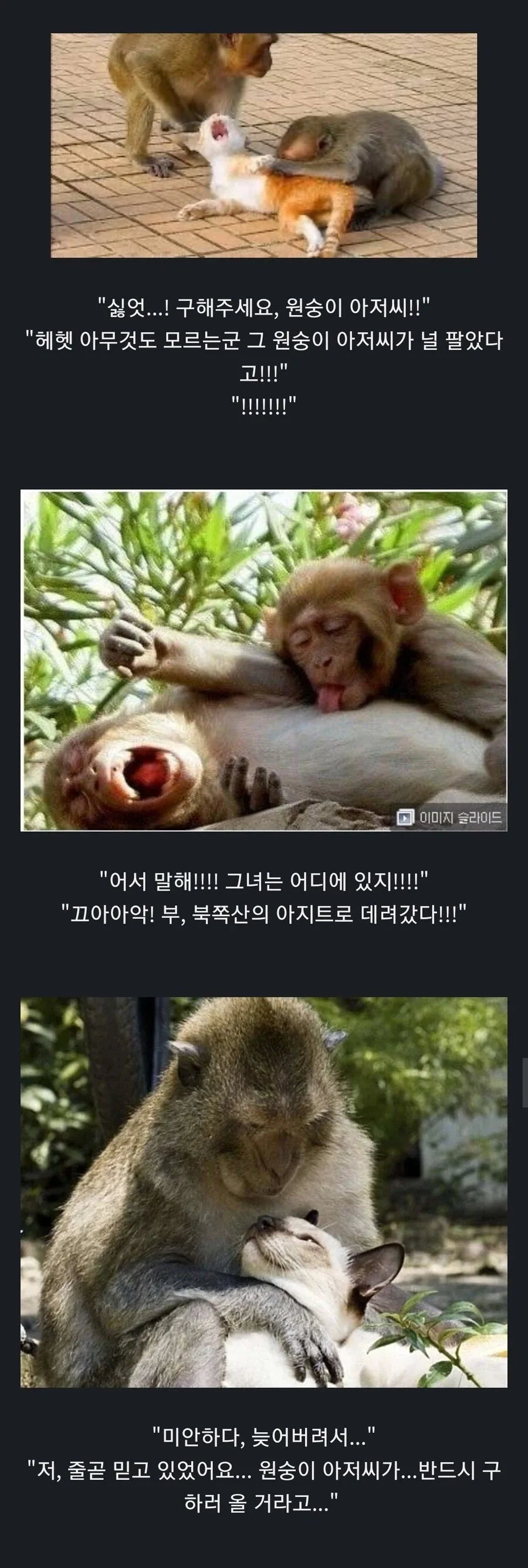 오타쿠가 약한 클리셰_2.webp
