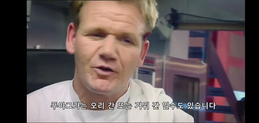 고든렘지의 쌍욕 피하는 방법_1.jpg