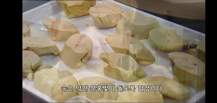 고든렘지의 쌍욕 피하는 방법_5.jpg