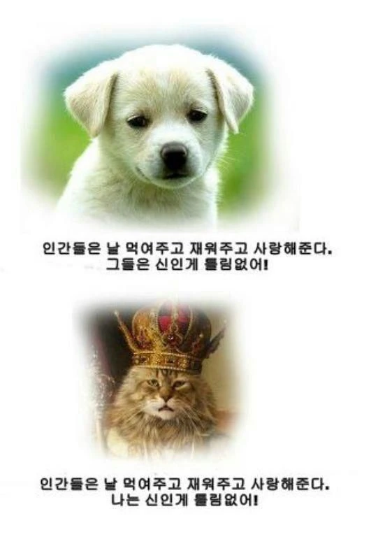 jpg1.jpg