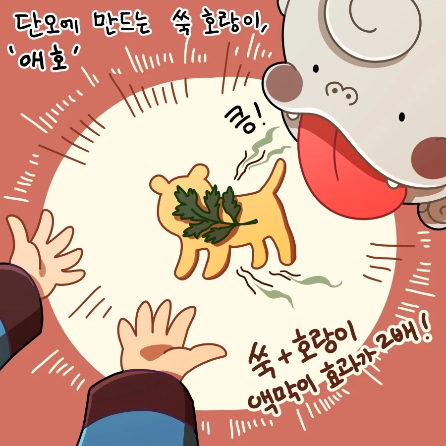 [만화] 단오에 나타나는 호랑이, 쑥호랑이!_1.webp