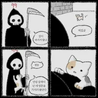 사신과 애옹
