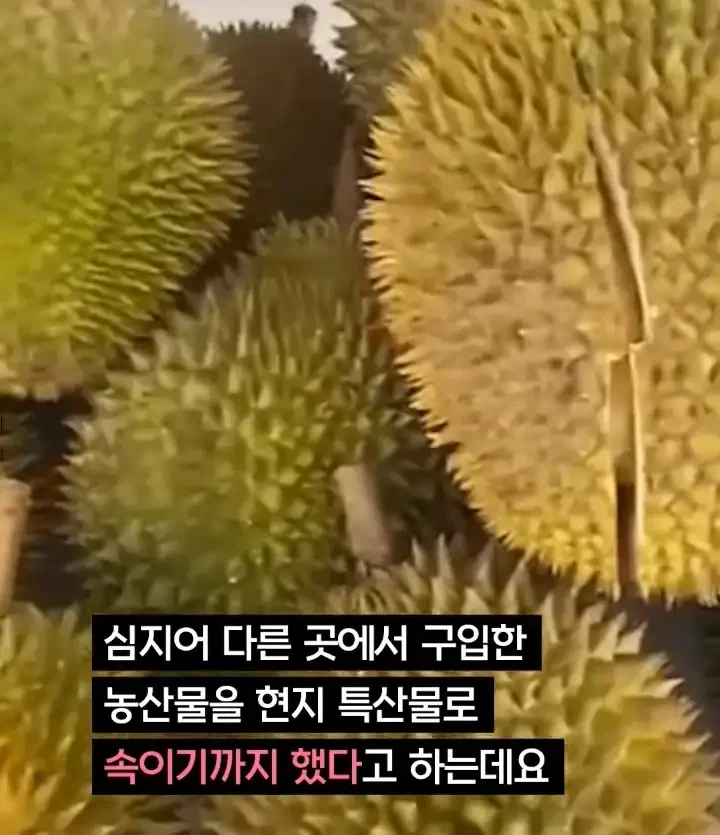중국의 산골처녀가 체포된 이유_13.webp
