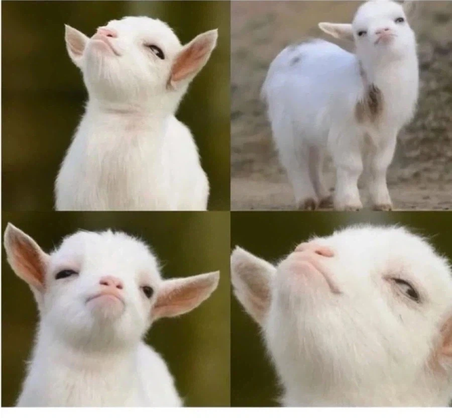 아무도 동의해주지 않았지만 지나고보니 결국 내 말이 맞았을 때_1.webp