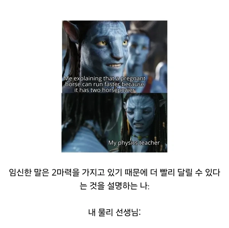달리는말이 1마력이라면 임신한 말은 ?_1.webp