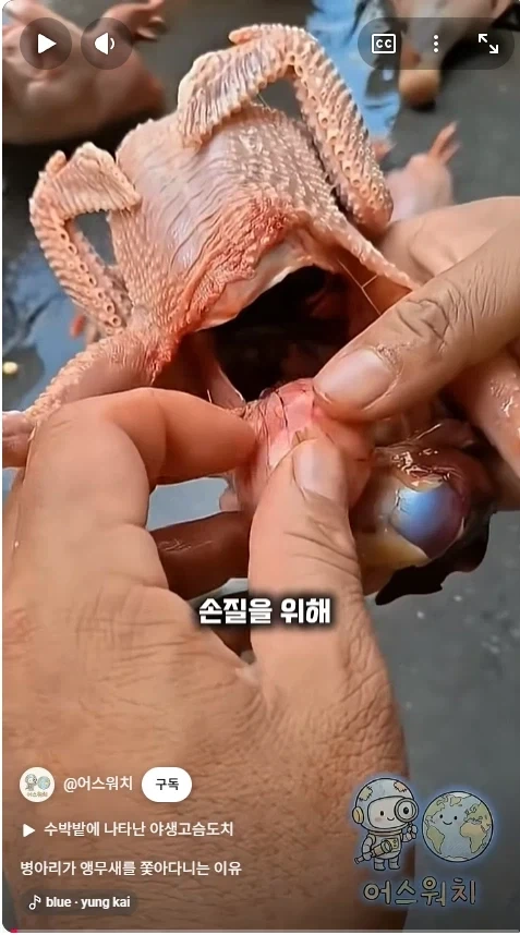 나 죽음에서 태어났다_1.webp