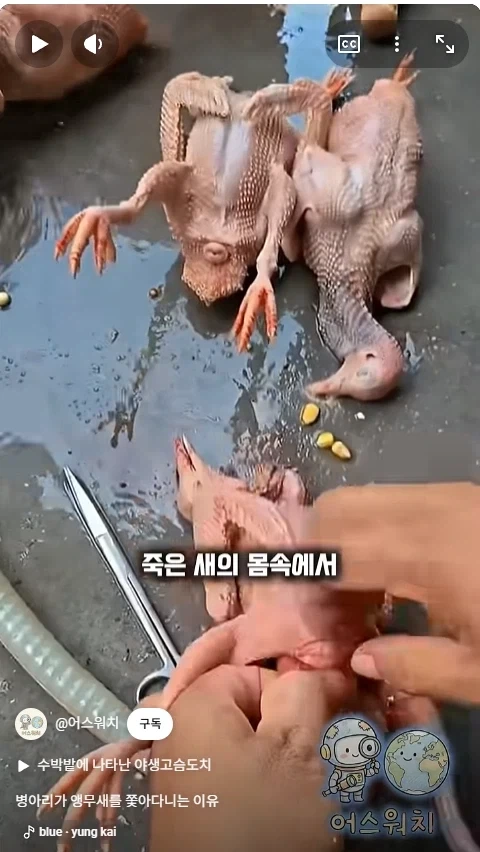 나 죽음에서 태어났다_3.webp