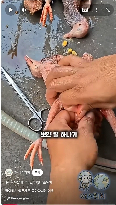 나 죽음에서 태어났다_4.webp