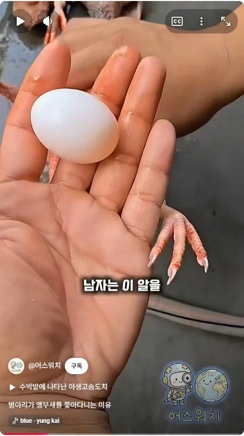 나 죽음에서 태어났다_5.webp