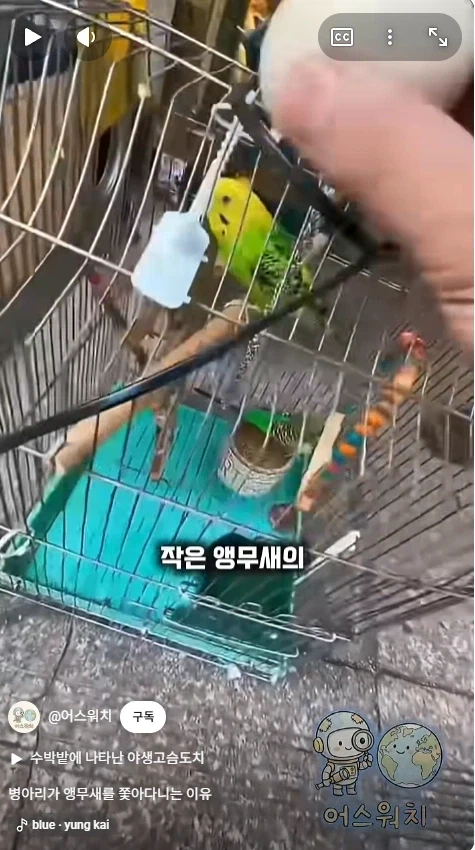 나 죽음에서 태어났다_6.webp