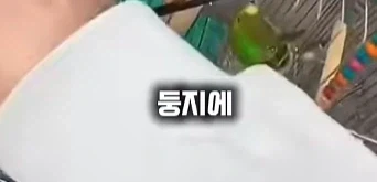 나 죽음에서 태어났다_7.webp