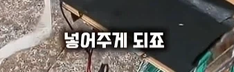 나 죽음에서 태어났다_8.webp