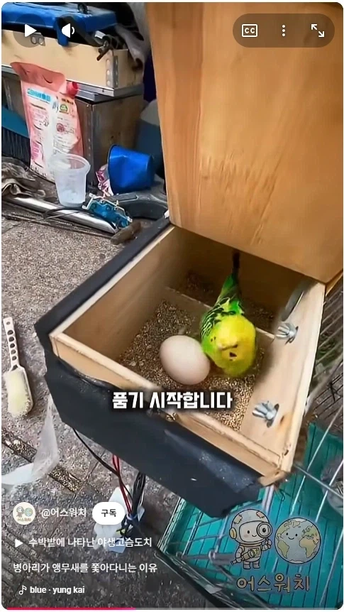 나 죽음에서 태어났다_9.webp