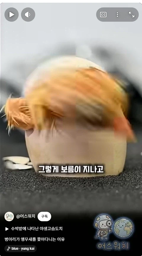나 죽음에서 태어났다_10.webp
