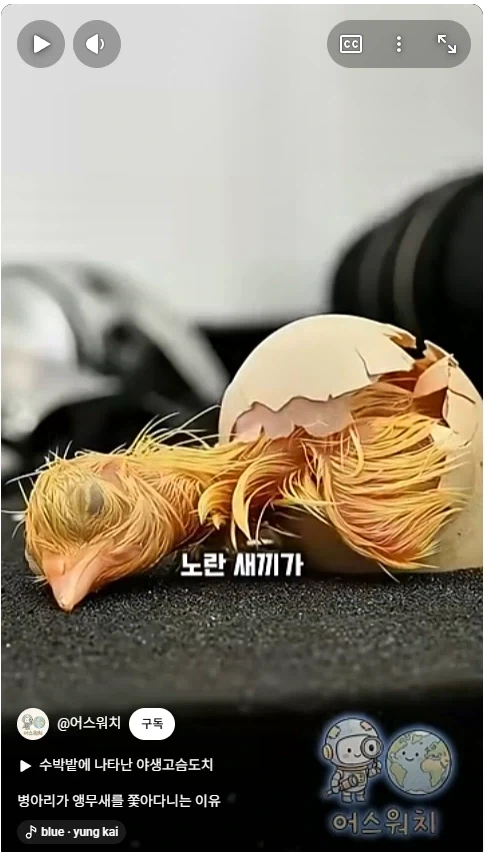 나 죽음에서 태어났다_11.webp