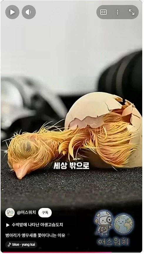 나 죽음에서 태어났다_12.webp