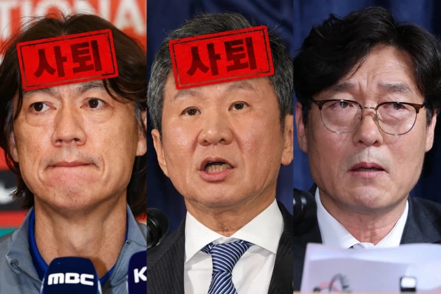 새로운 빙고판 출시_1.webp