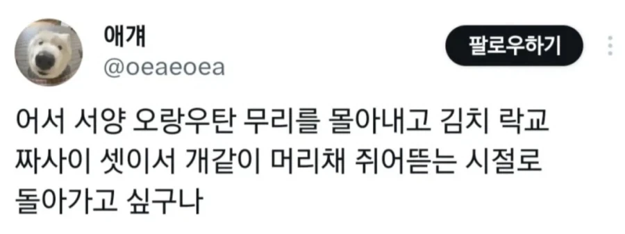 한중일쨩 유행으로 알게된 것_3.webp