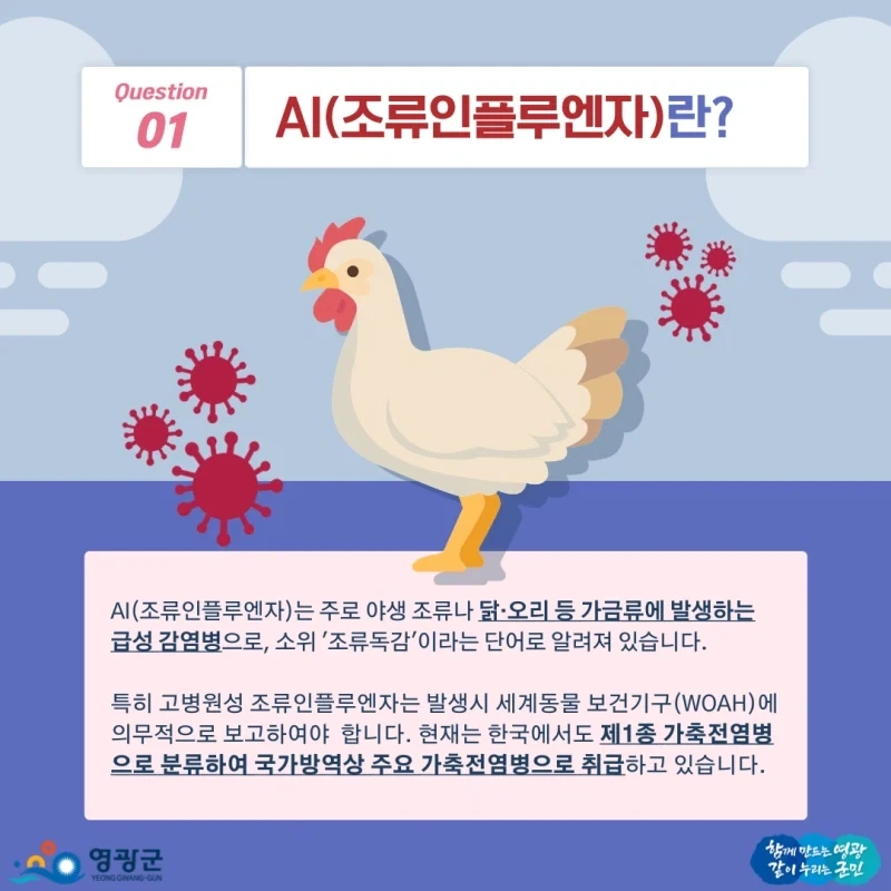 Ai가 가장 많은 타격을 줄수있는 업계_1.webp