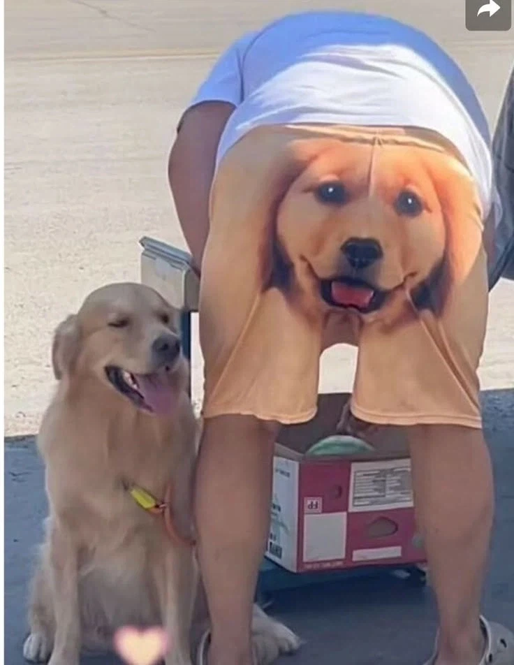 기르는 멍뭉이를 프린트한 옷.jpg_1.webp