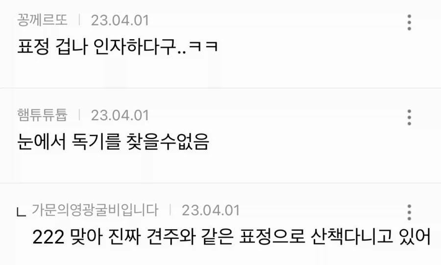 노인분들이 키우는 강아지들 특징_4.webp