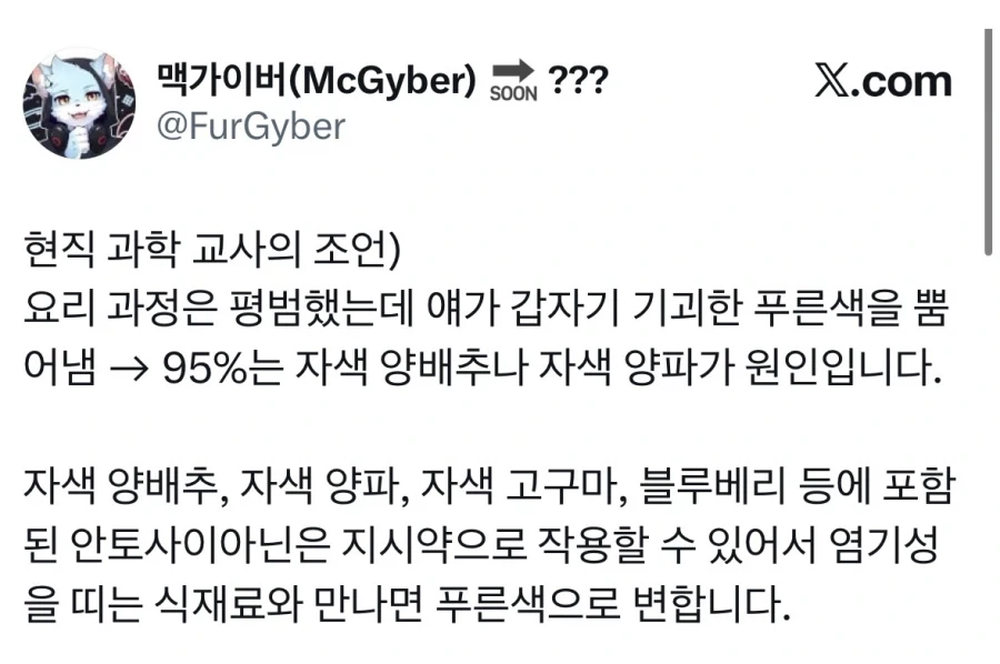 곰팡이 핀 음쓰 아님.jpg_2.webp