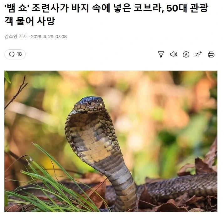 조련이 덜 된 뱀 쇼의 위험성_1.webp