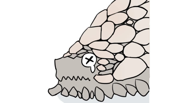 manga_1209664_001.webp