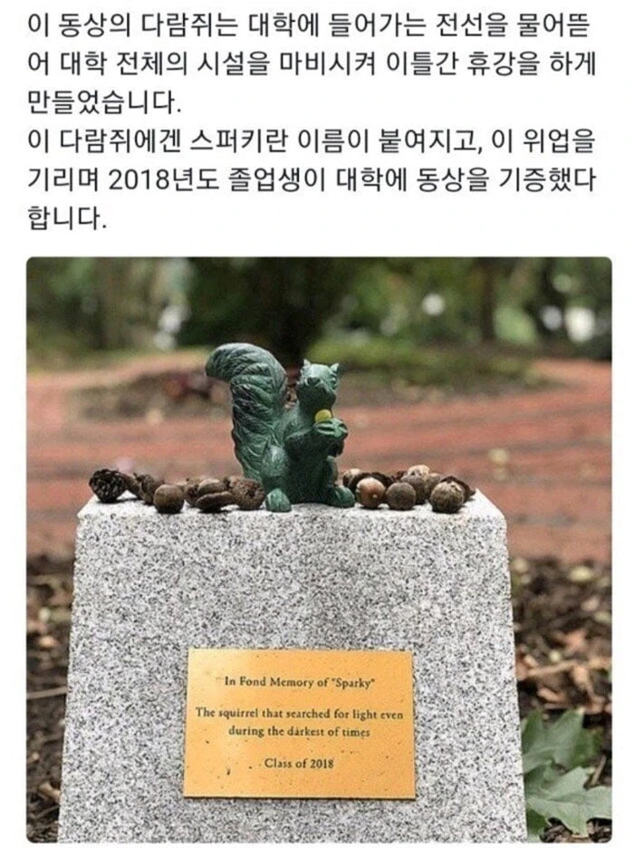 대학에 동상이 생긴 다람쥐_1.webp