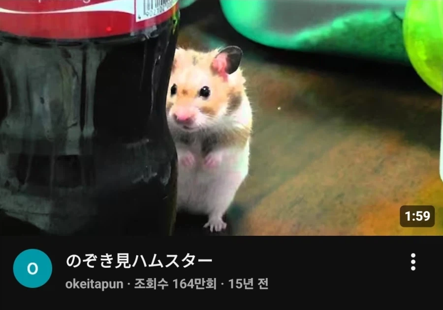 세계적으로 발발하는 이상현상_1.webp