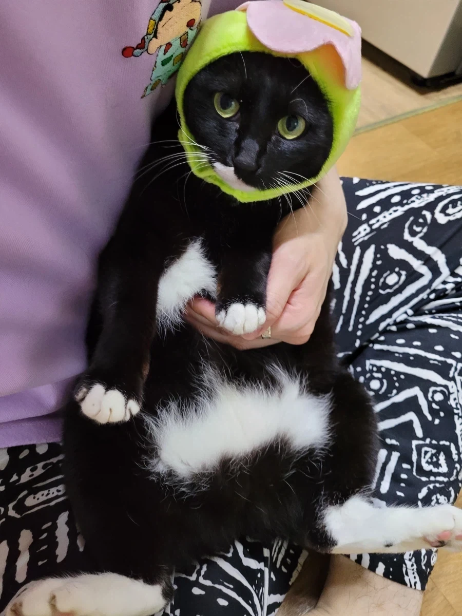 정 안주려 노력중인데_4.webp