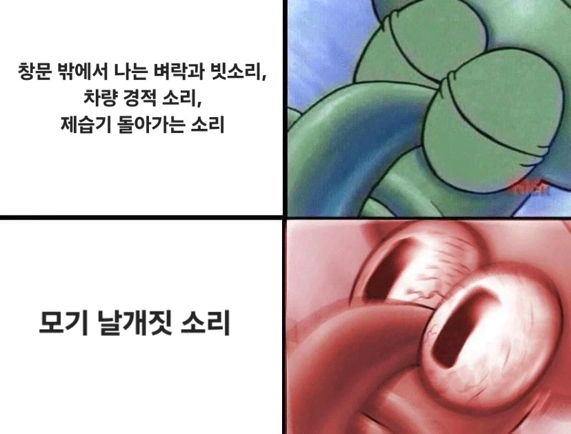잘때 소음 신경 안쓰고 잘자는 사람도 민감하게 만드는거_1.webp