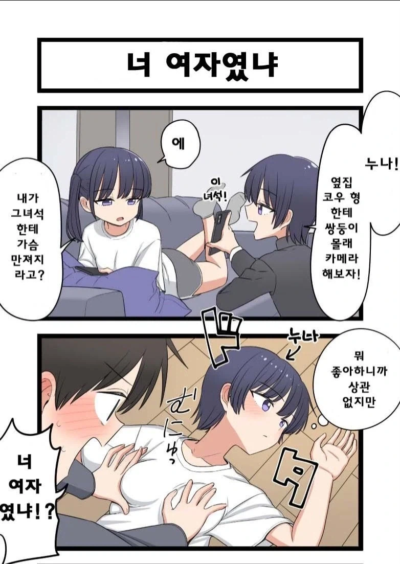 도둑고양이 남동생_1.webp