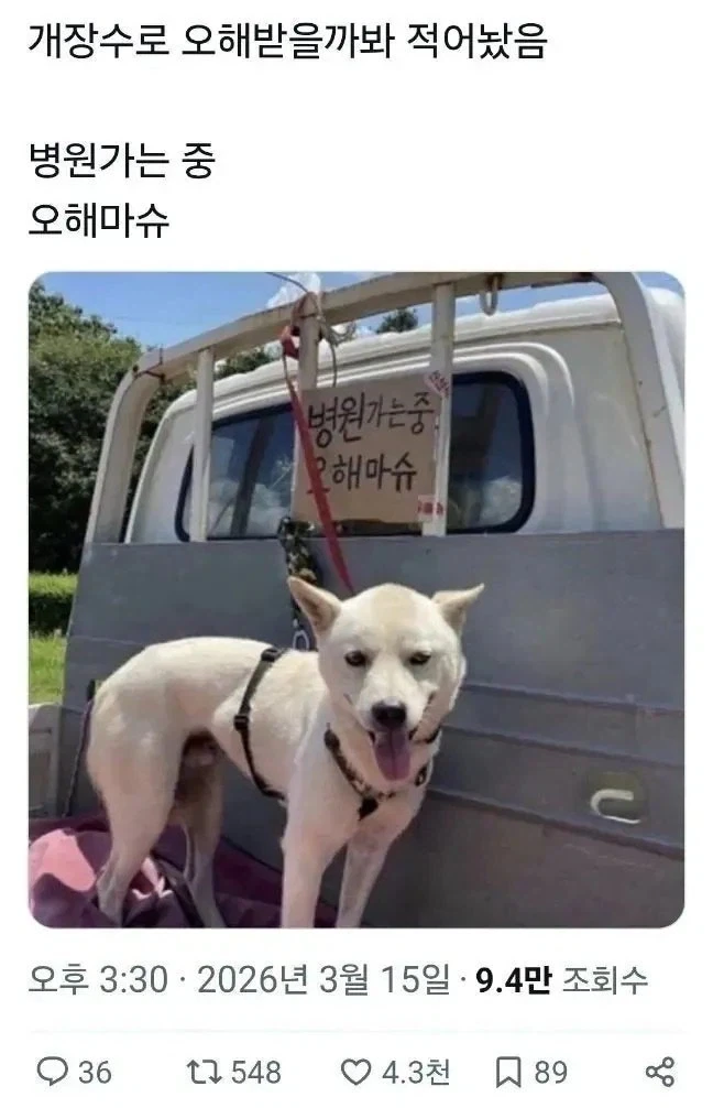 거 오해들 말어 개 팔려는것이 아니고 병원가는겨_1.webp