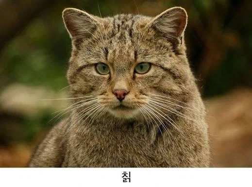 여름에 모르고 먹는 잔인한 음식_2.webp