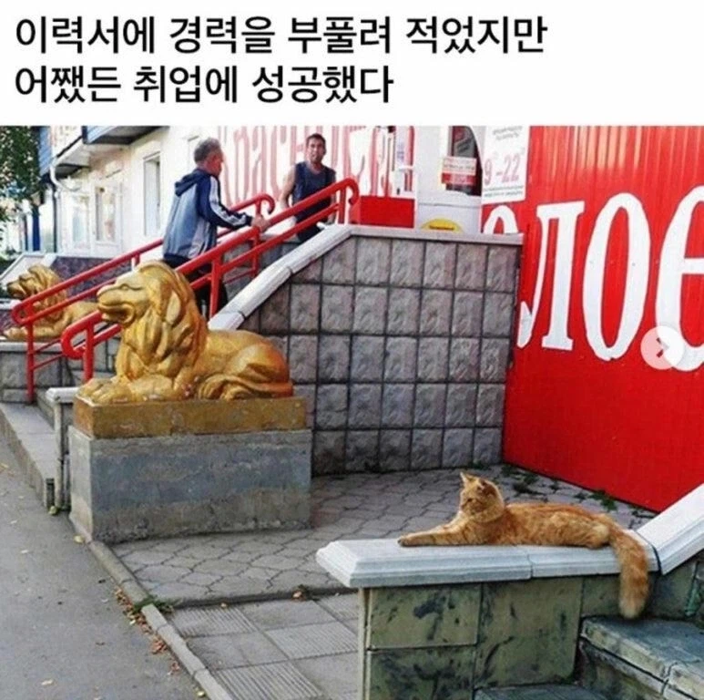 ??? : 아무튼 취업에는 성공했다_1.webp