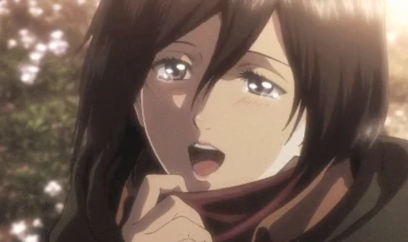 17758a4416a2130a.png