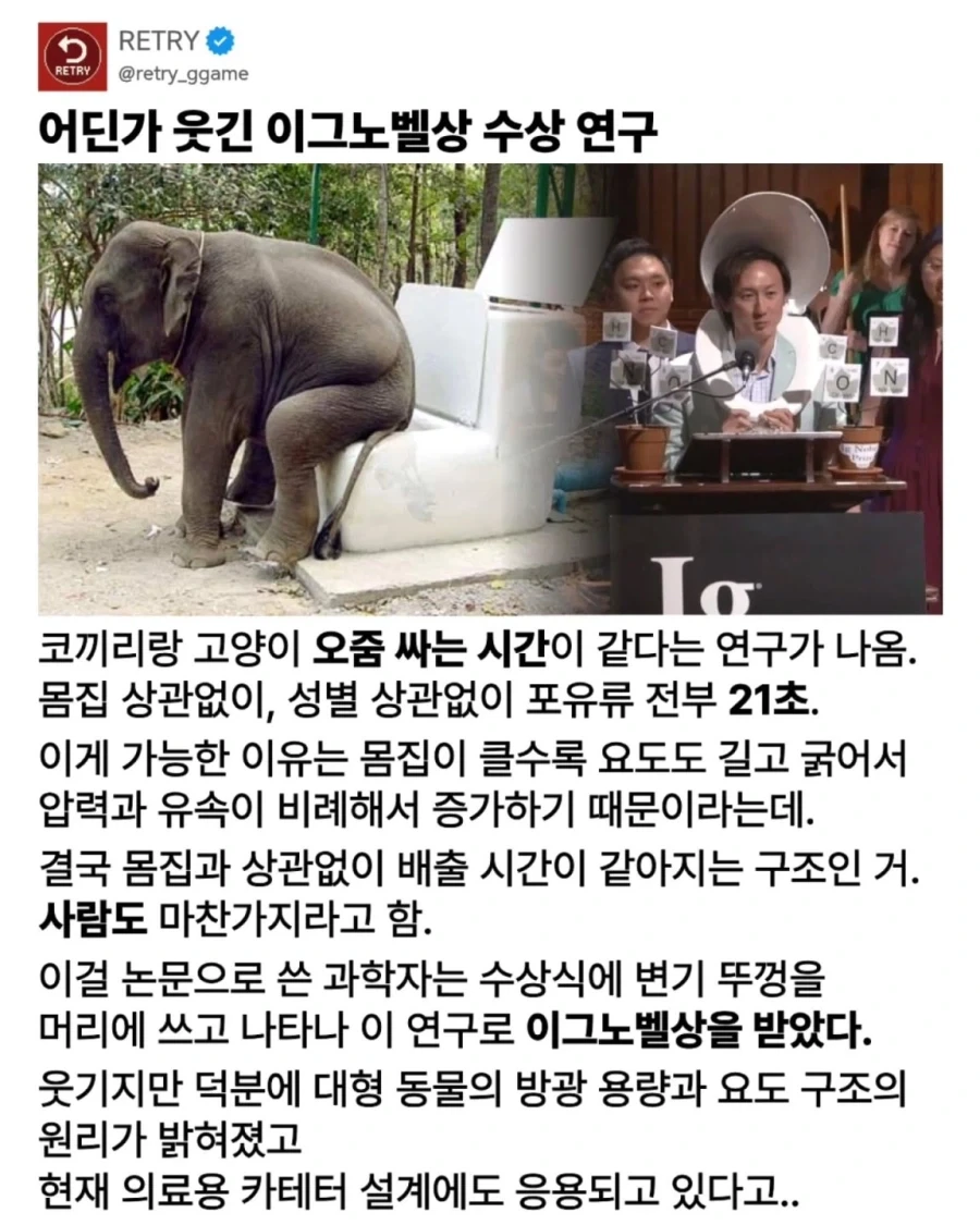 의외로 코끼리랑 고양이랑 인간이 같다는 것_1.webp